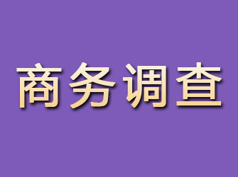 鹰潭商务调查